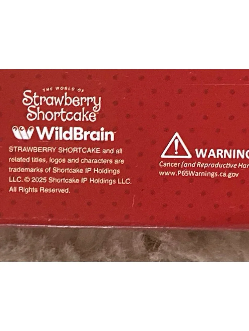 Strawberry Shortcake Valentines LOVE Welcome Coir Doormat‎ 18” X 30” NEW